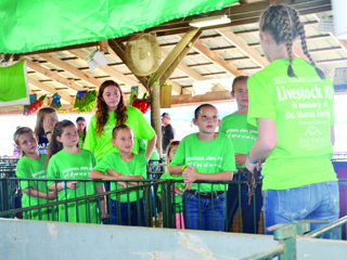 Madison Co Fair